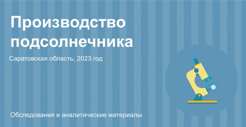Производство подсолнечника в Саратовской области в 2023 году